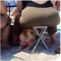 Weduwnaar Dominant zoekt huis, tuin en keuken slaaf