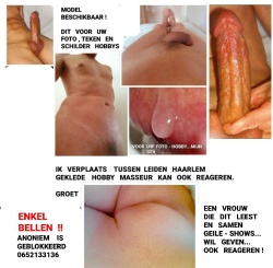Hetero model beschikbaar tussen Leiden Haarlem , ook amateur masseur kan reageren