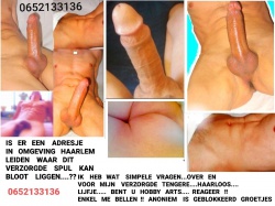 Kan ik bloot liggen in / tussen Haarlem Leiden ?